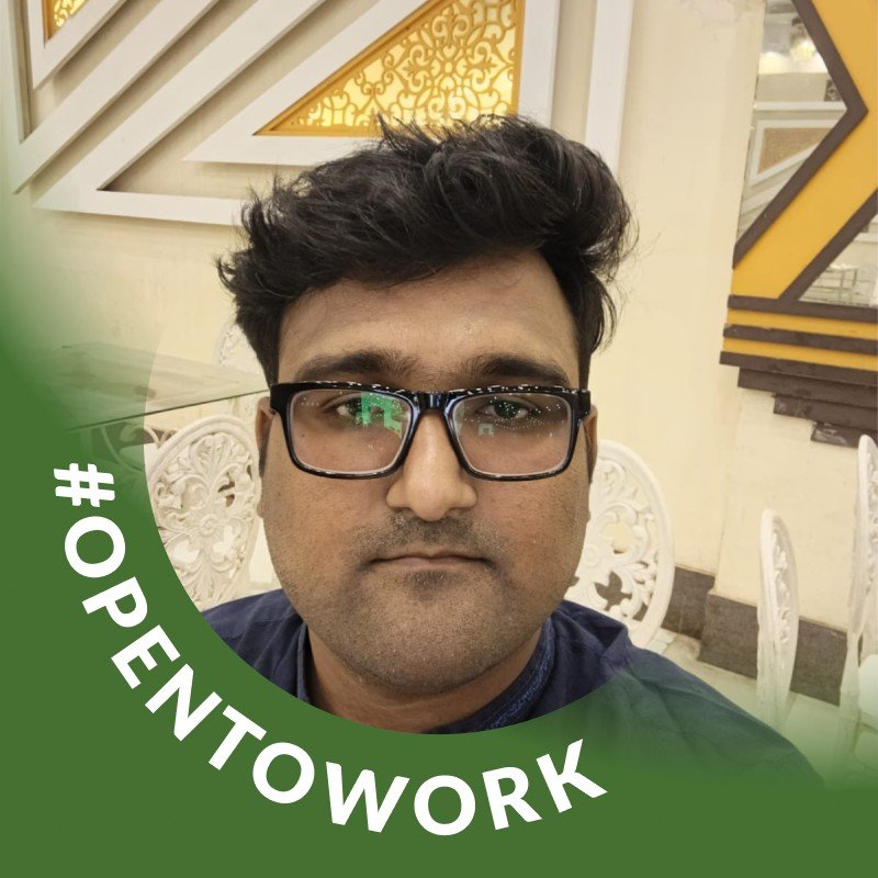 Taimur Ansari, Senior SEO Expert and Digital Media Researcher